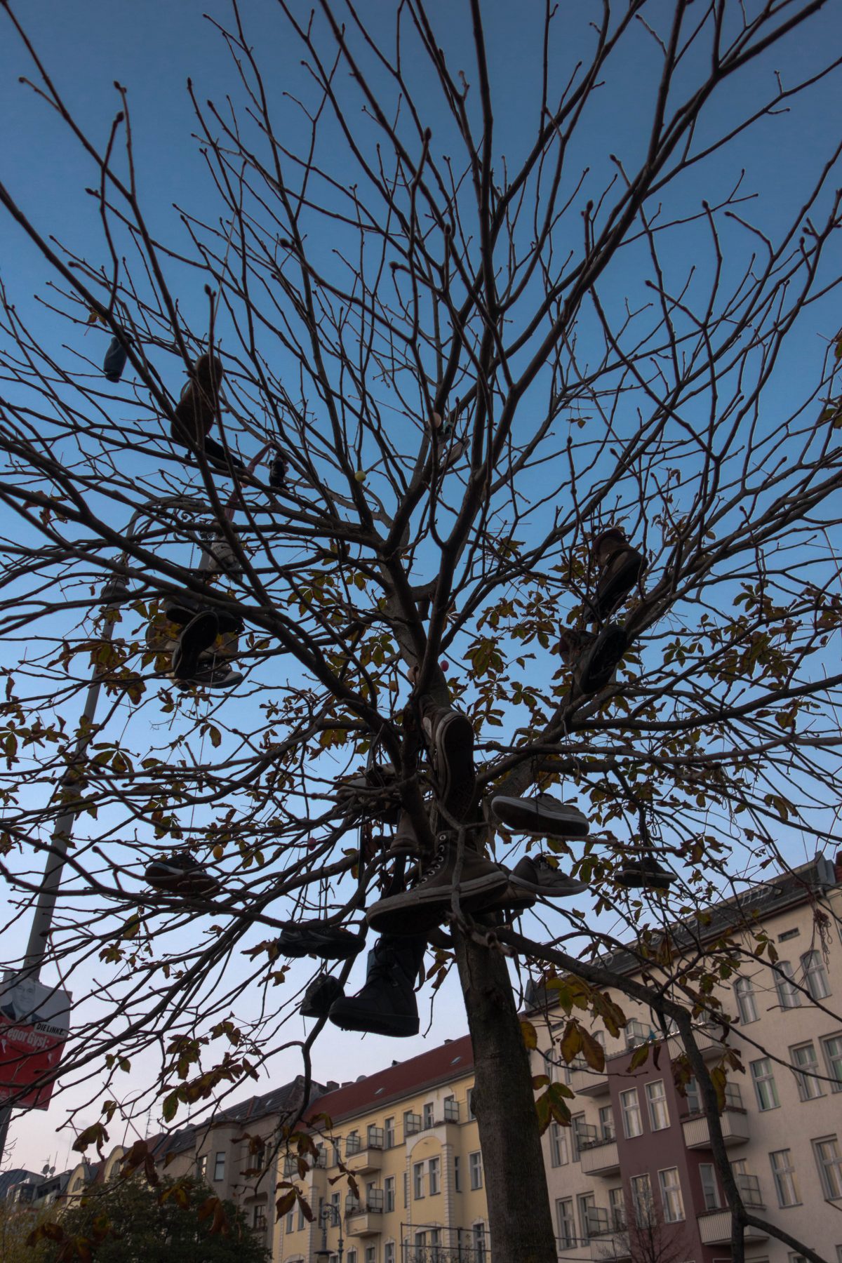 Shoes on a tree in Berlin